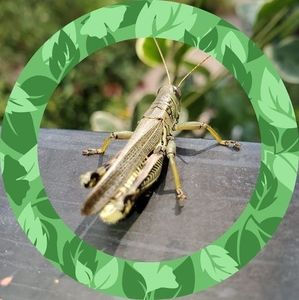 Meet your Posher, Candy